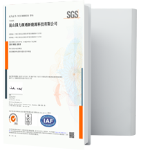 公海彩船·6600(中国)官方网站源通-ISO9001-中文.png